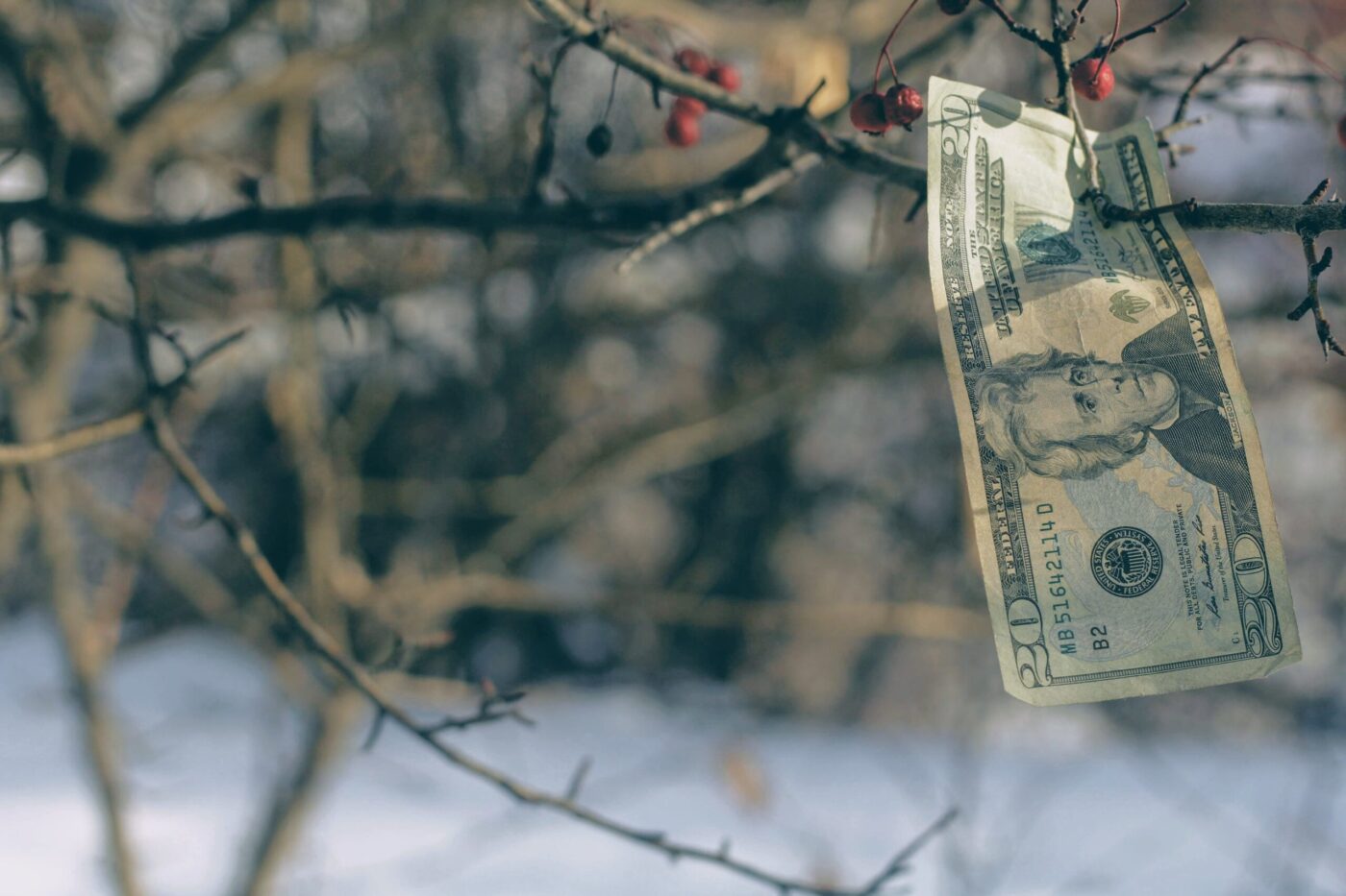 You are currently viewing Recovering Financially from Lockdown